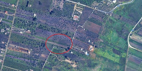 terreno edificabile in vendita a Castelvetrano in zona Marinella di Selinunte