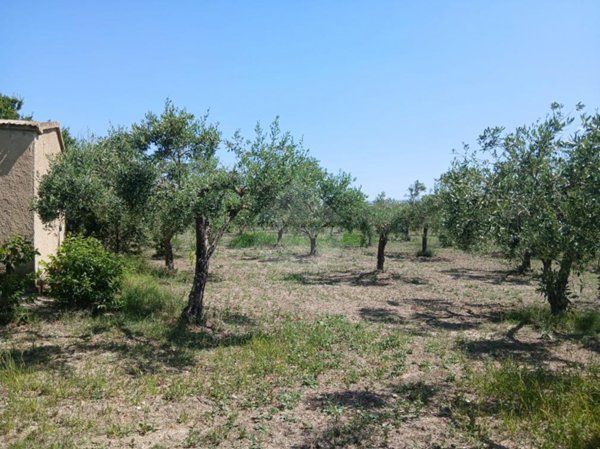 terreno agricolo in vendita a Castelvetrano