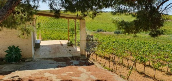 terreno edificabile in vendita a Castelvetrano in zona Marinella di Selinunte
