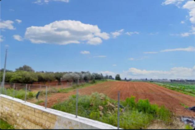terreno agricolo in vendita a Castelvetrano