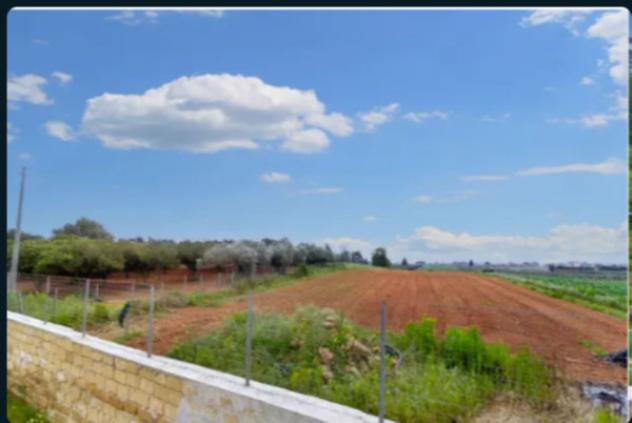 terreno agricolo in vendita a Castelvetrano
