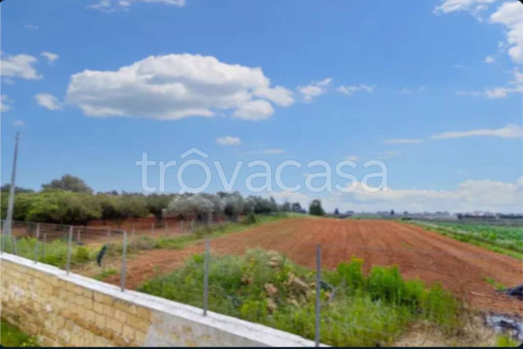 terreno agricolo in vendita a Castelvetrano