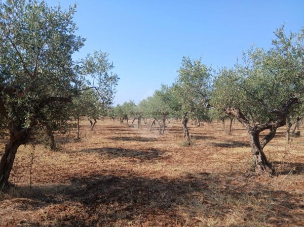 casa indipendente in vendita a Castelvetrano