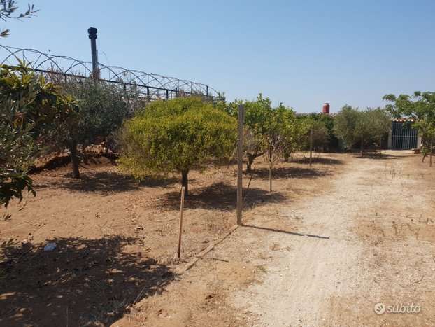 terreno agricolo in vendita a Castelvetrano in zona Triscina di Selinunte