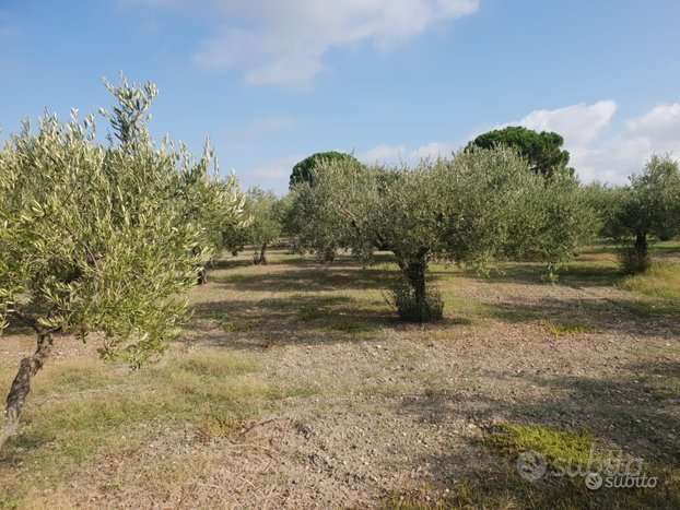 casa indipendente in vendita a Castelvetrano