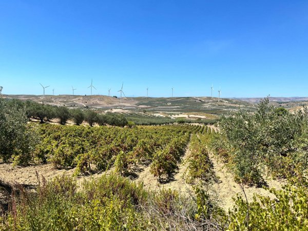 terreno edificabile in vendita a Castelvetrano