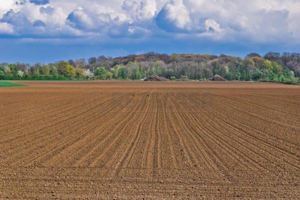 appartamento in vendita a Castelvetrano
