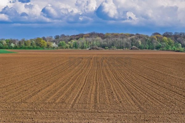 terreno agricolo in vendita a Castelvetrano