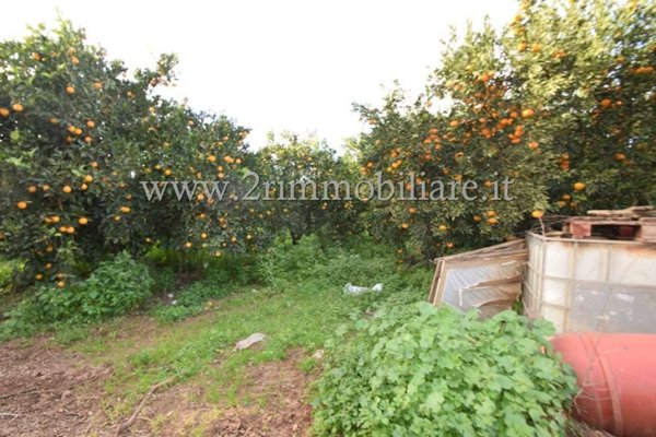 azienda agricola in vendita a Castelvetrano