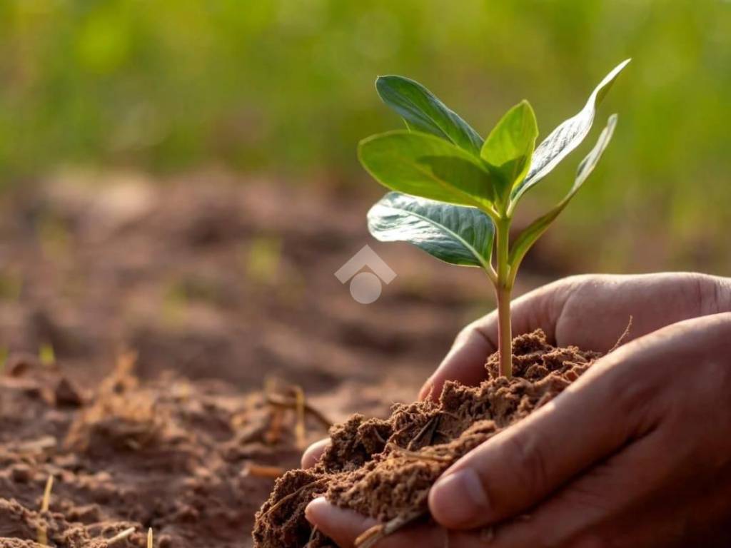terreno agricolo in vendita a Castelvetrano in zona Marinella di Selinunte