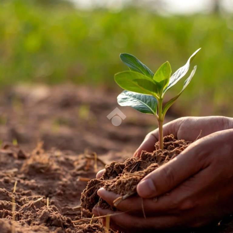 terreno agricolo in vendita a Castelvetrano in zona Marinella di Selinunte