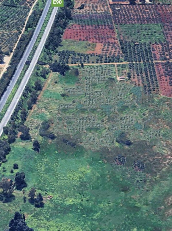 terreno agricolo in vendita a Castelvetrano