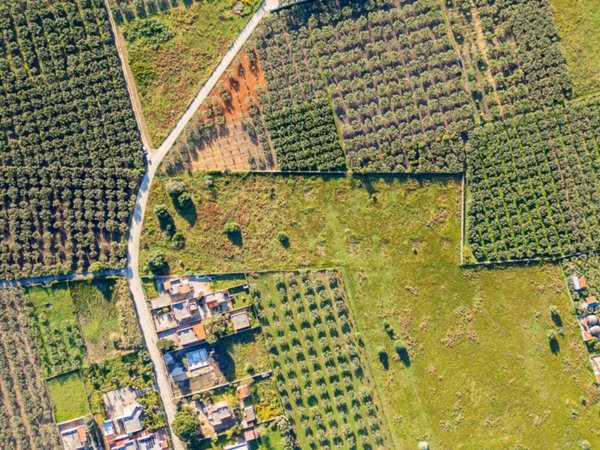 terreno agricolo in vendita a Castelvetrano in zona Marinella di Selinunte