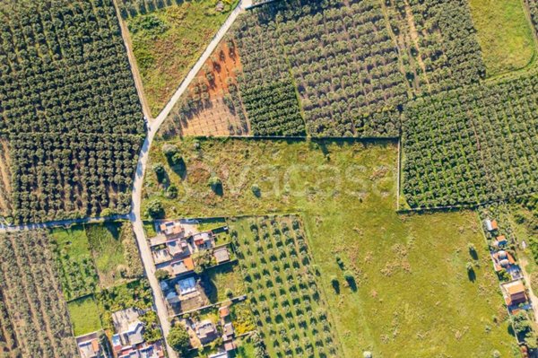 terreno agricolo in vendita a Castelvetrano in zona Marinella di Selinunte
