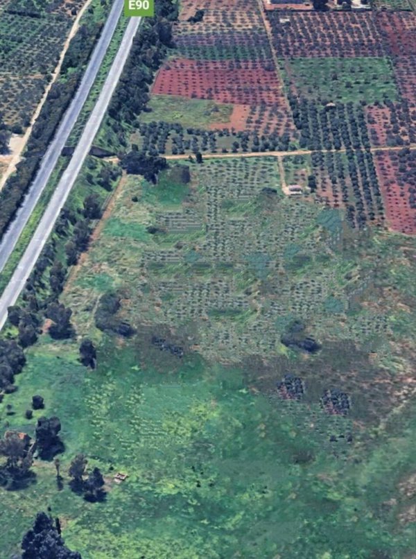 terreno agricolo in vendita a Castelvetrano