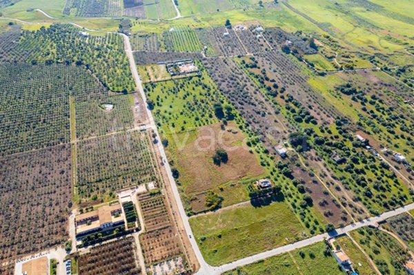 terreno edificabile in vendita a Castelvetrano in zona Marinella di Selinunte