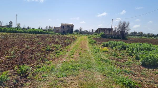 terreno agricolo in vendita a Castelvetrano