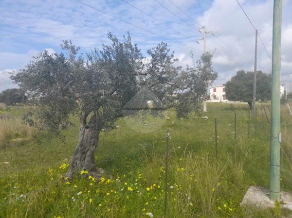 terreno agricolo in vendita a Castelvetrano in zona Marinella di Selinunte