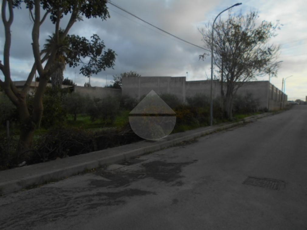 terreno agricolo in vendita a Castelvetrano