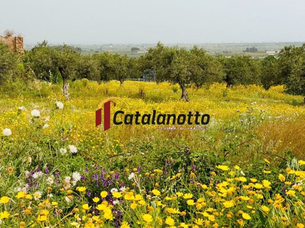 casa indipendente in vendita a Castelvetrano