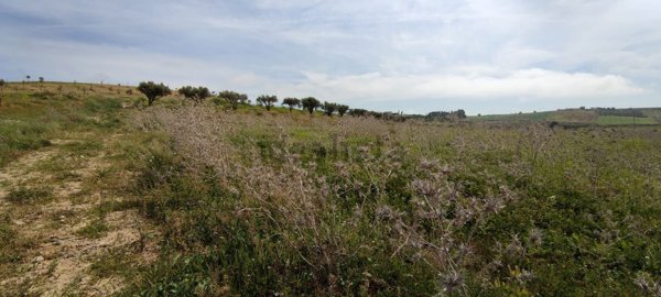 terreno edificabile in vendita a Castelvetrano