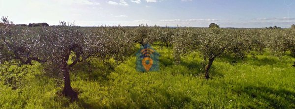 terreno agricolo in vendita a Castelvetrano in zona Marinella di Selinunte