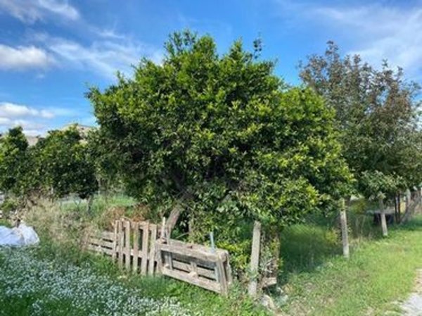 casa indipendente in vendita a Castelvetrano