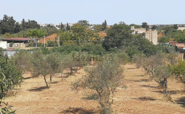 terreno edificabile in vendita a Castelvetrano