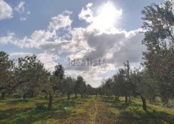 terreno agricolo in vendita a Castelvetrano