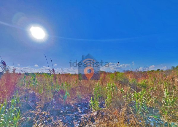 terreno agricolo in vendita a Castelvetrano in zona Triscina di Selinunte