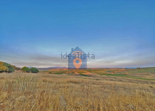 terreno agricolo in vendita a Castelvetrano in zona Marinella di Selinunte