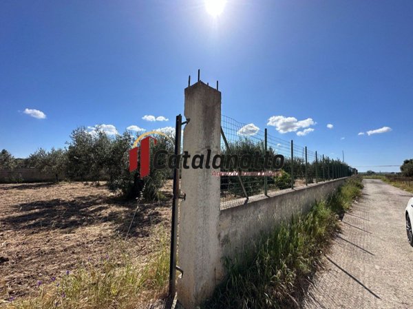 terreno edificabile in vendita a Castelvetrano in zona Marinella di Selinunte