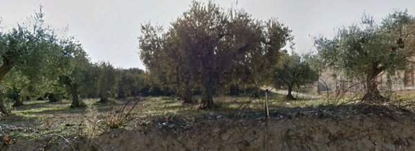 terreno edificabile in vendita a Castelvetrano