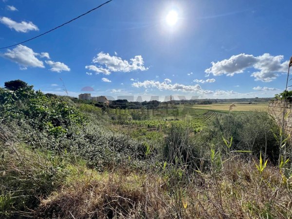 terreno agricolo in vendita a Castelvetrano
