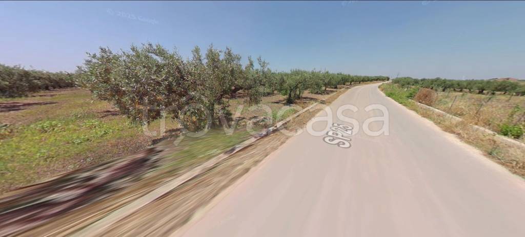 terreno agricolo in vendita a Castelvetrano