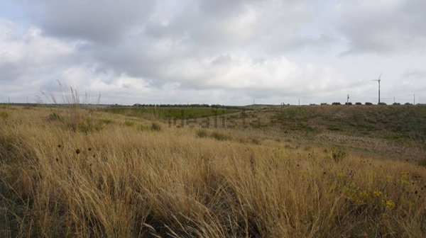 terreno edificabile in vendita a Castelvetrano