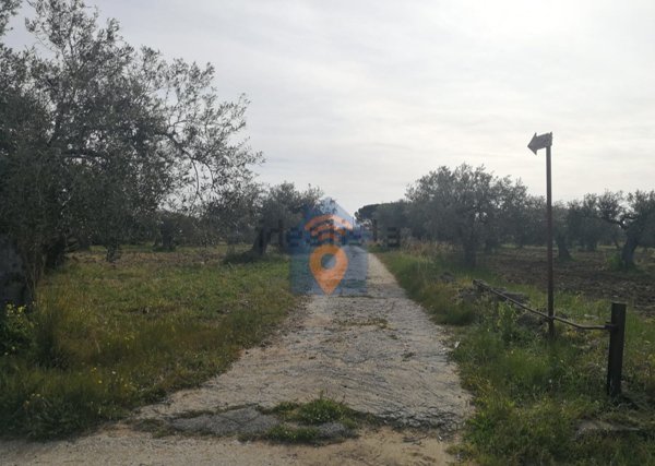 casa indipendente in vendita a Castelvetrano