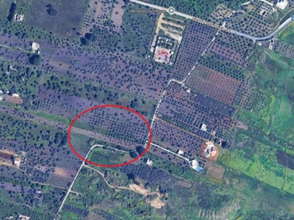 terreno edificabile in vendita a Castelvetrano in zona Marinella di Selinunte