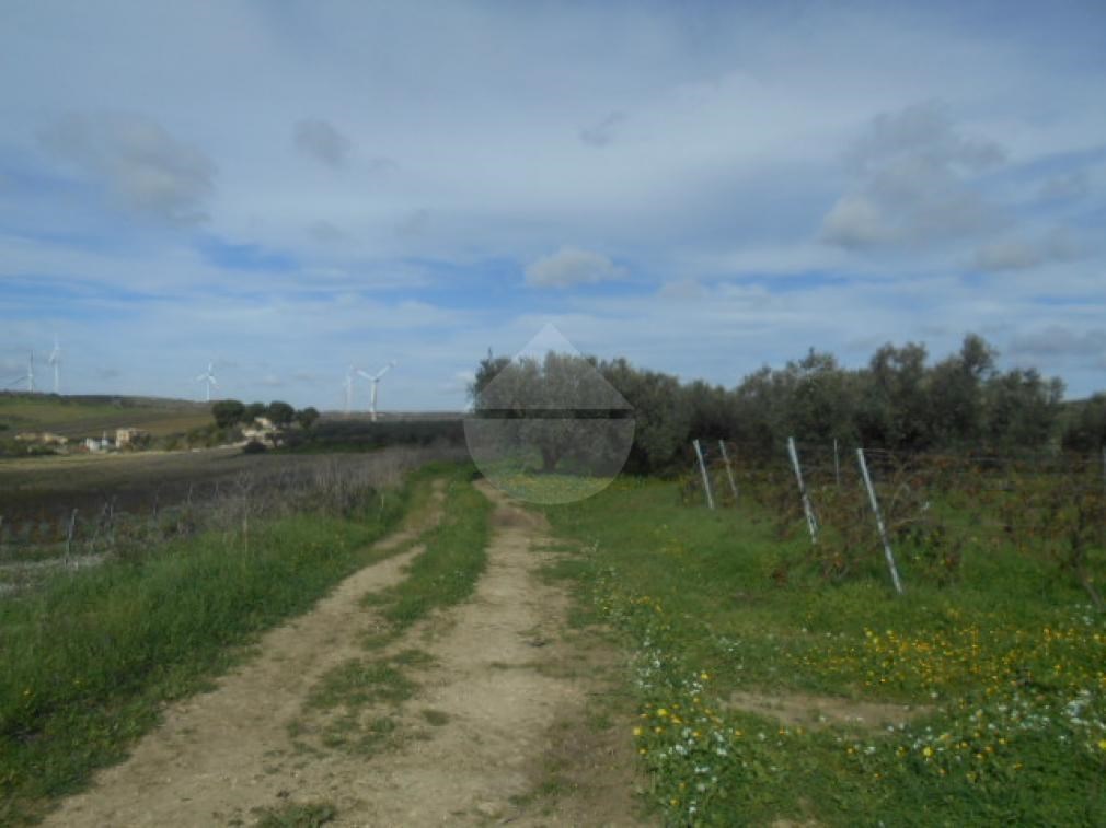 terreno edificabile in vendita a Castelvetrano