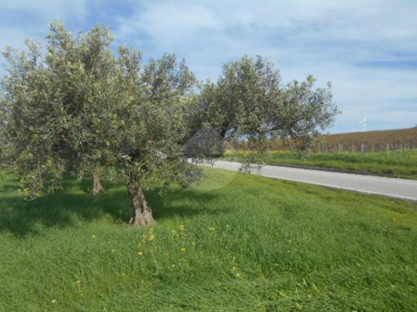 terreno edificabile in vendita a Castelvetrano