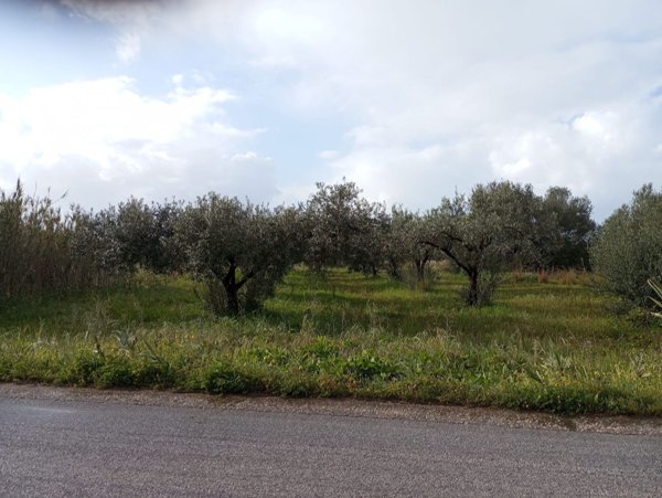 terreno agricolo in vendita a Castelvetrano