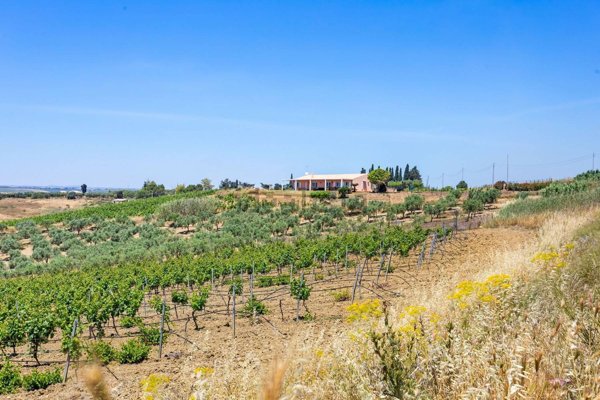 casa indipendente in vendita a Castelvetrano