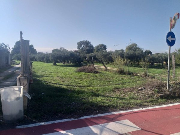 terreno edificabile in vendita a Castelvetrano in zona Marinella di Selinunte