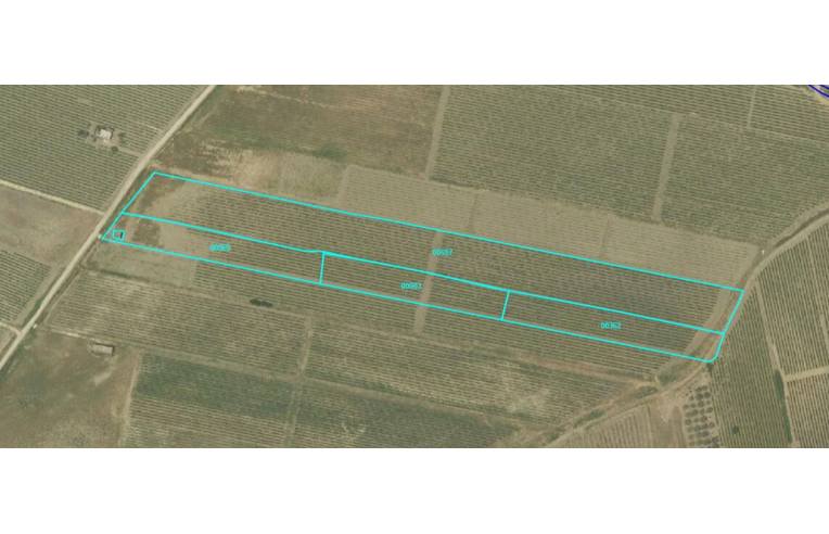 terreno agricolo in vendita a Castelvetrano