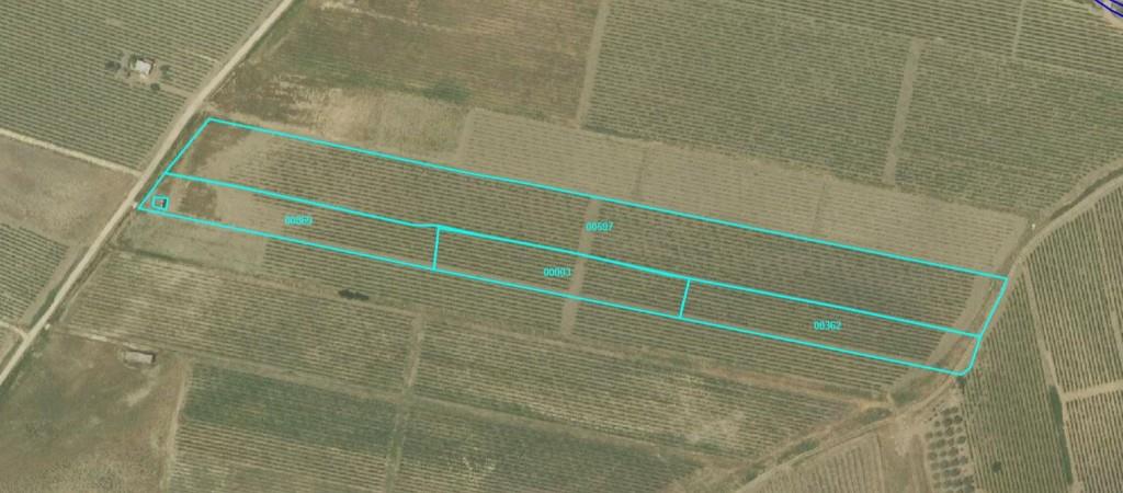 terreno agricolo in vendita a Castelvetrano