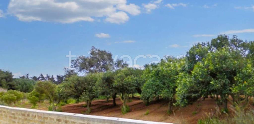 terreno edificabile in vendita a Castelvetrano