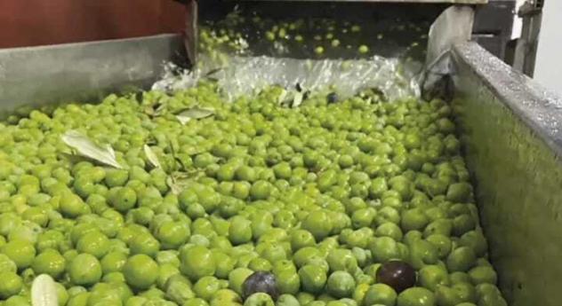 negozio in vendita a Castelvetrano