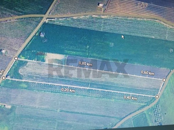 terreno agricolo in vendita a Castelvetrano