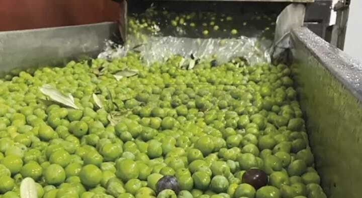 azienda agricola in vendita a Castelvetrano