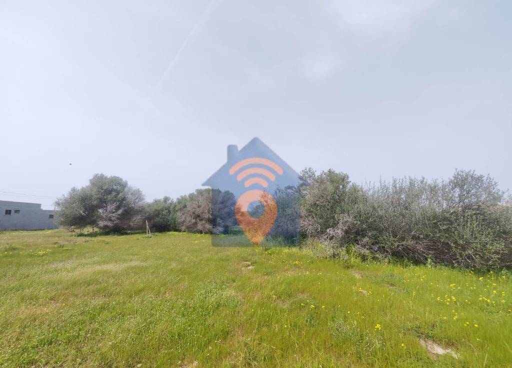 terreno agricolo in vendita a Castelvetrano in zona Marinella di Selinunte